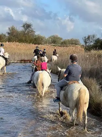 Promenade Ã  cheval Chez Elise