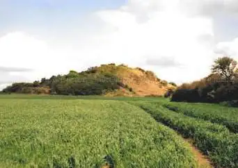 Butte de Cesar - Tumulus de Tumiac