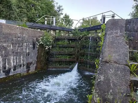 Common Moor Lock (79)