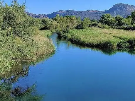 Canyissar de la Noguera Ribagorçana