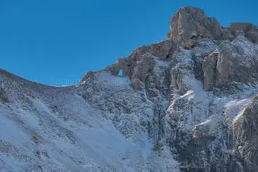 Tête de Plate Longue