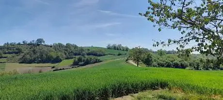 Passeggiata panoramica Montaldo Andezeno