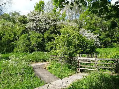 Greenfield Road Nature Reserve