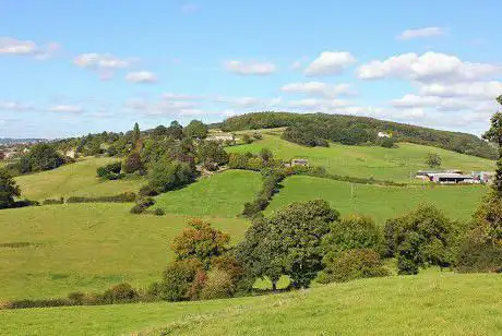 Doverow Wood