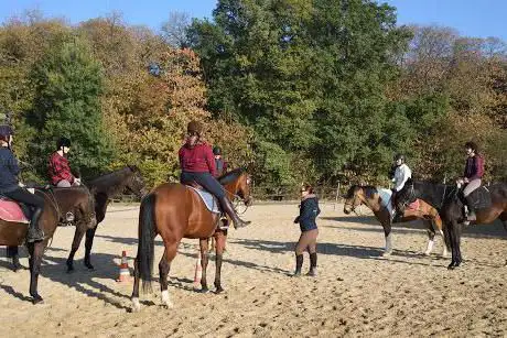 Centre Equestre la Lisière