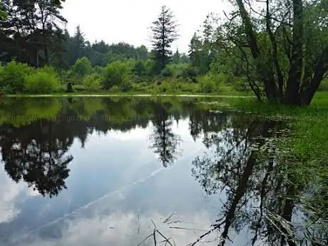 Wigpool Nature Reserve