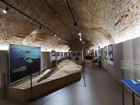 Museo Paleontologico Territoriale dell'Astigiano