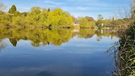 Stapenhill Woodland Walk & Riverside Walk