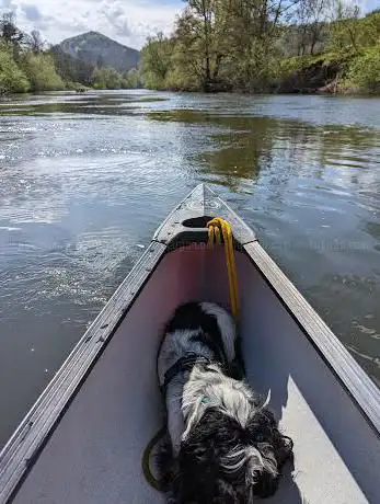 The River Wye Canoe Hire Company