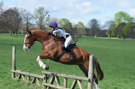 Bekesbourne Stables