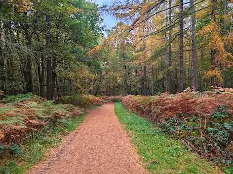 Haw Park Wood