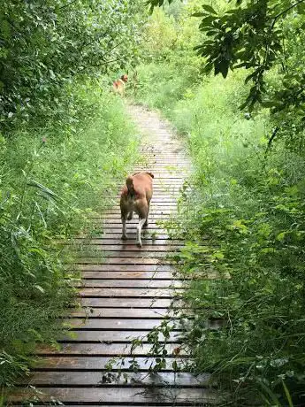 Frodingham Nature Reserve