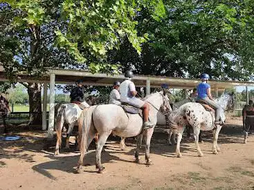 Kentucky Ranch