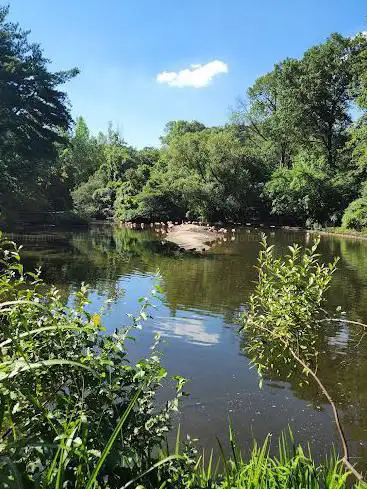 Bronx River Forest