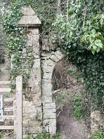 The Oak at the Gate of the Dead