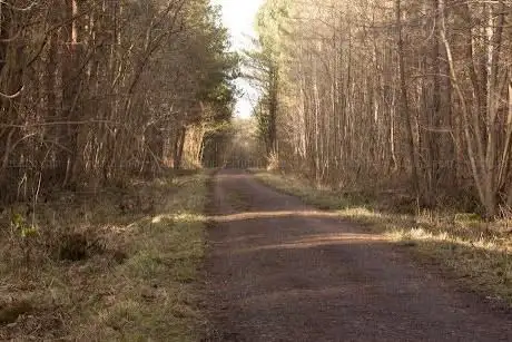 Brierley Woods