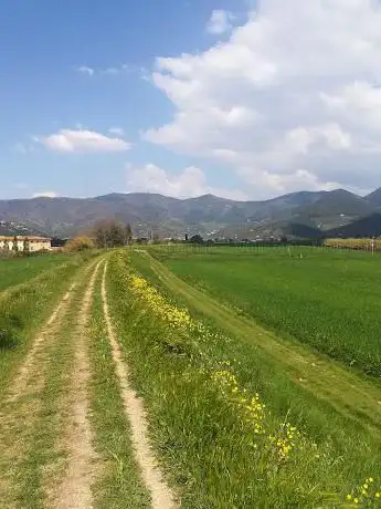 Argine dell'Arno San Lorenzo alle Corti