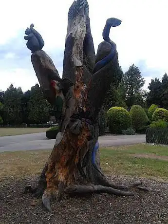 Chainsaw Art