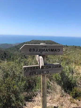 Coll de la palma