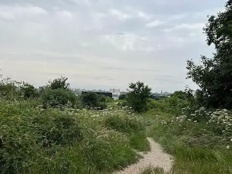 Peartree Green Nature Reserve