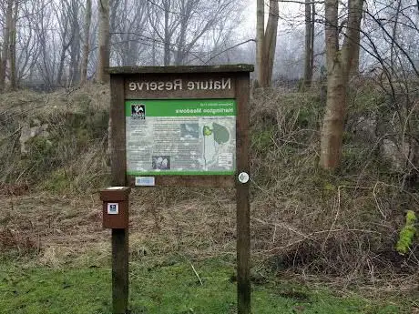 Hartington Meadows Nature Reserve