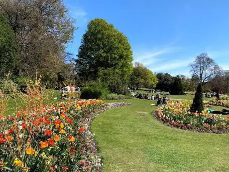 Hyde Park Rose Garden