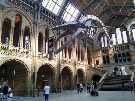 The Natural History Museum Shop