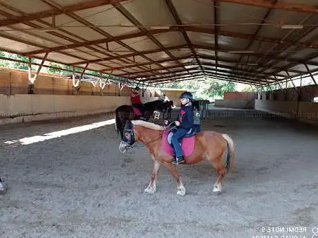 Acavalloconale passeggiate a cavallo Roma Nord