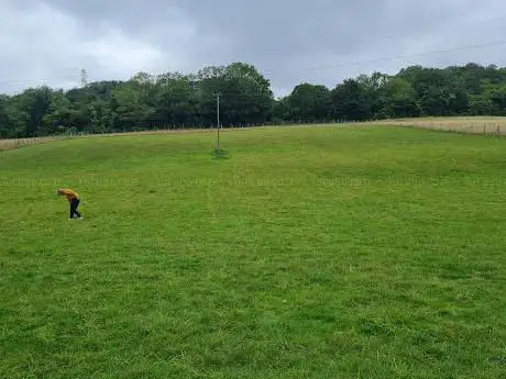 Hugo's Fun Dog Field