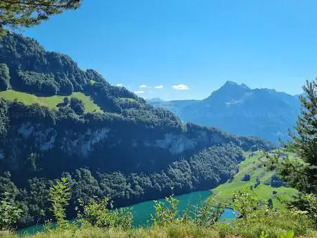 Seelisberg Scheidegg Feuerstelle