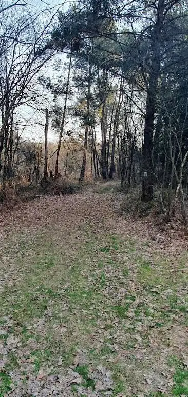 Forêt de Loudéac - Croisée des Prés de Rivières