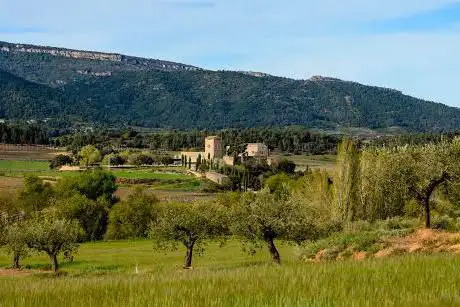 Castell de Milmanda - Familia Torres