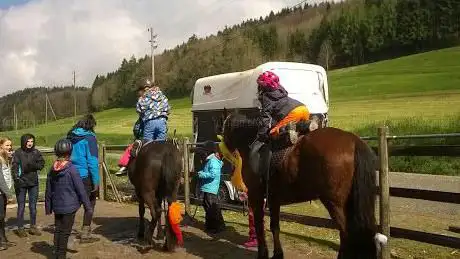 Ponyschür SchÃ¶nau