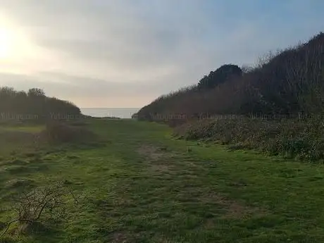 Chewton Bunny Nature Reserve