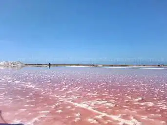 Le Salin l'ile saint martin de Gruissan