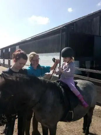 Hill Farm Stables Riding School & Livery