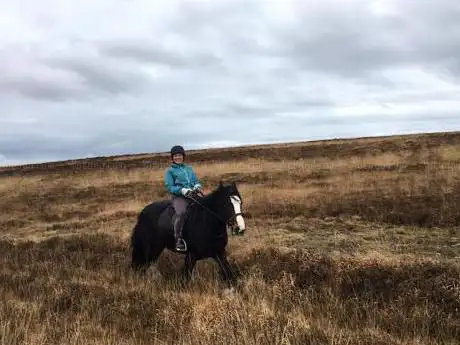 Brendon Manor Riding Stables