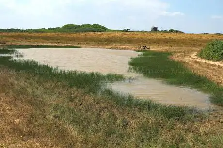 Windmill Farm Nature Reserve