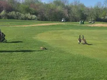 Charleston Springs Golf Course