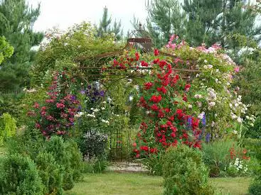 Le Jardin de Mireille en Touraine Angevine