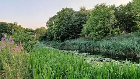 Sankey Bridges