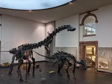 Naturmuseum Senckenberg