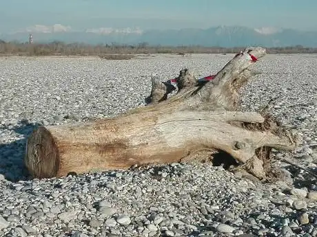 San Martino al Tagliamento