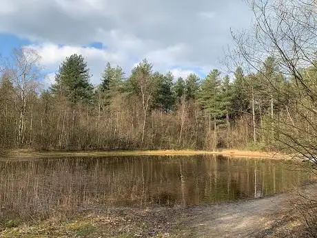 Achterste Duintjes en Wildertse Duintjes