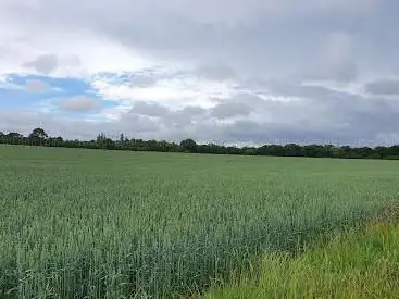 Ashtead national nature reserve