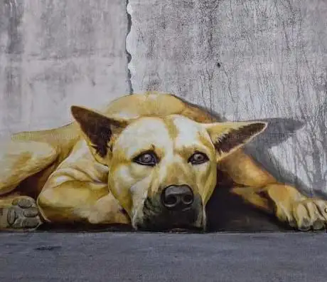 Ettore il cane gigante