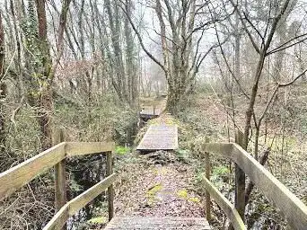 Tourbière des cent vergées