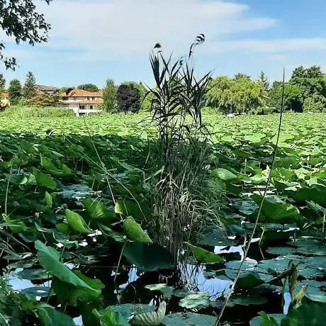 Sentiero Belfiore-Angeli