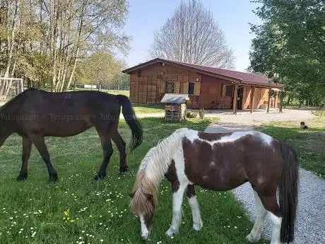 Scuola Pony Pegaso