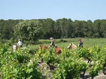 Vidourle Ã  cheval